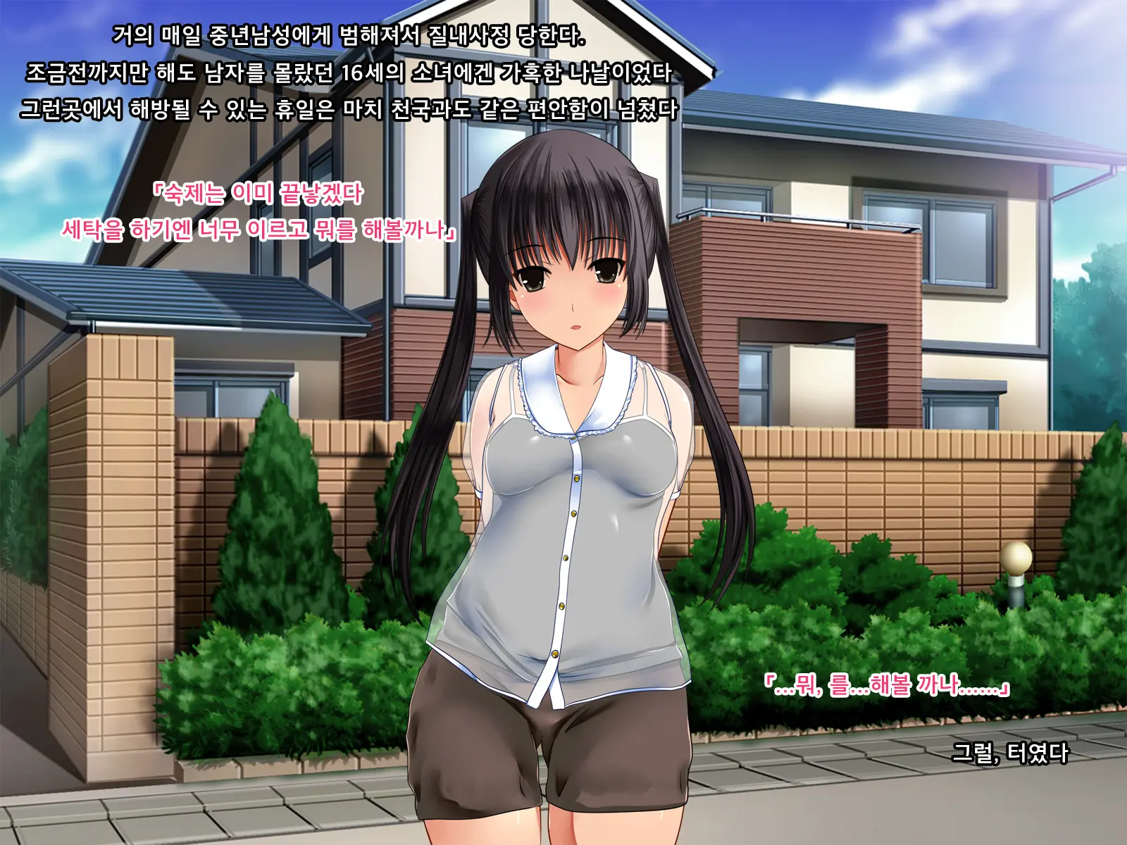 Twintail Bishoujo JK O Chuunen Youmuin Ga Zetsurin Nama Chinpo De Nakadashi Rape Shojo Soushitsu Jusei Sase Haramasete Kara Mo Chitsunai Shasei Sex Shitsuzukeru Hanashi
